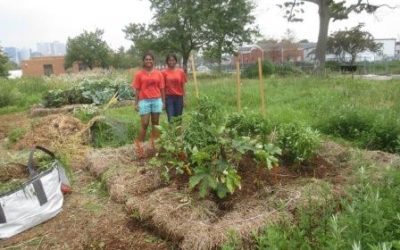 August 2013: Why Earth Matter Matters by Shaalini