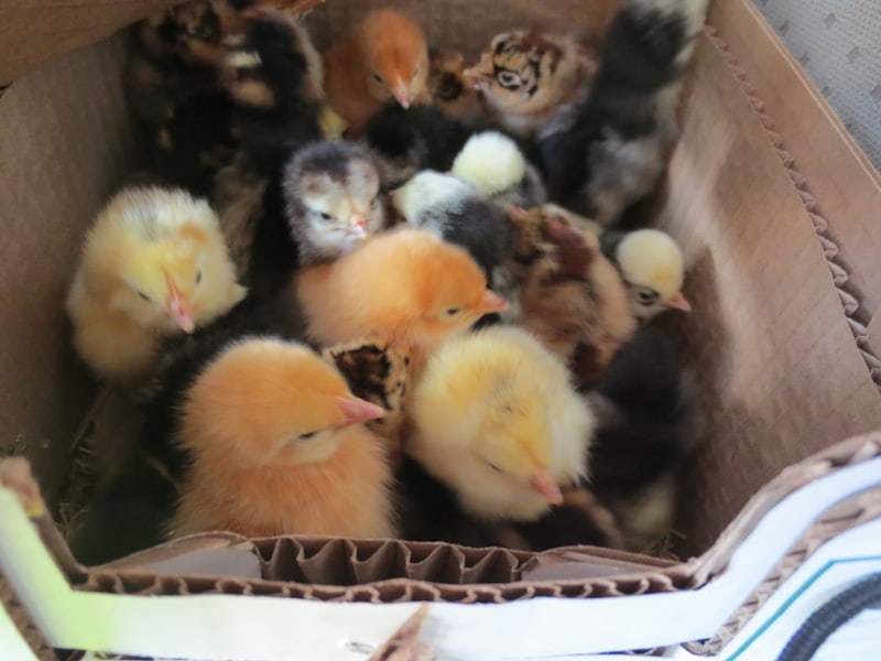 May 2013: Love at First Sight!