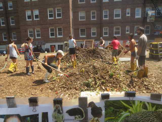 November 2013: Governors Island season. In a word, fabulous.