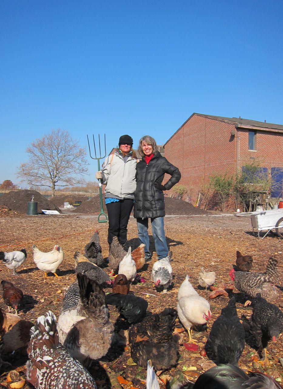 December 2014: Leslie Nowinski and Alison Simko | Earth Matter NY