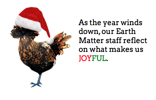December 2015-January 2016: What makes us Joyful