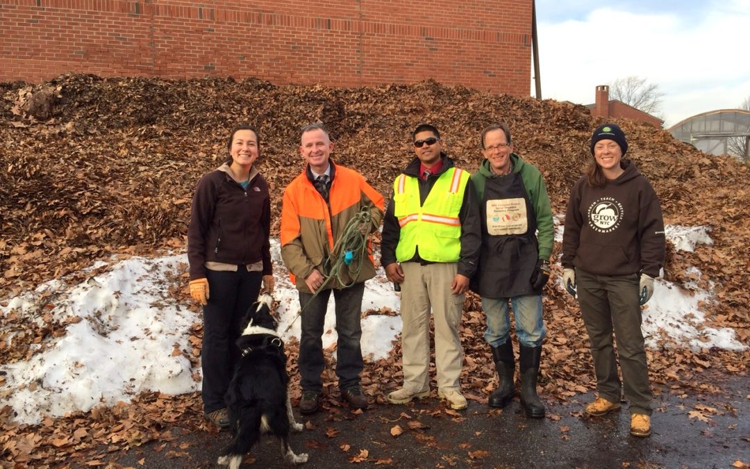 Spring 2016: Yard trimmings on Governors Island now a part of Earth Matter’s balancing act!