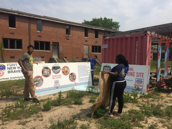 Che Von Hooper, Alberto Carreras and Harbor School intern, Anaya Ashby, weigh options for temporary placement of interpretative signage at the Center.