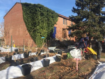 Winter 2016: Soil Start Farm